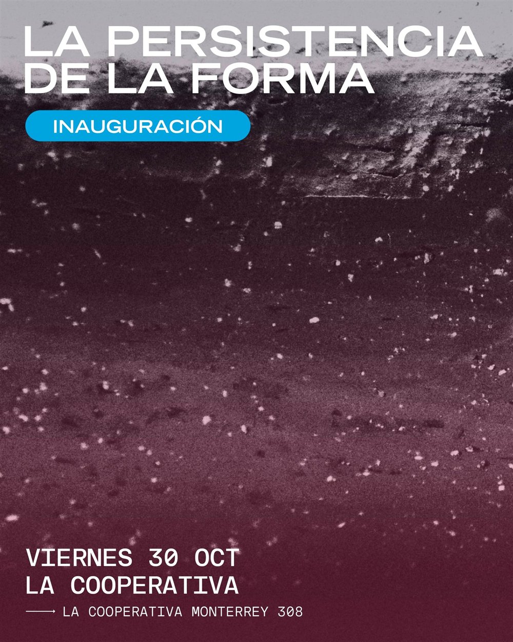 La persistencia de la forma — cartel o imagen del evento