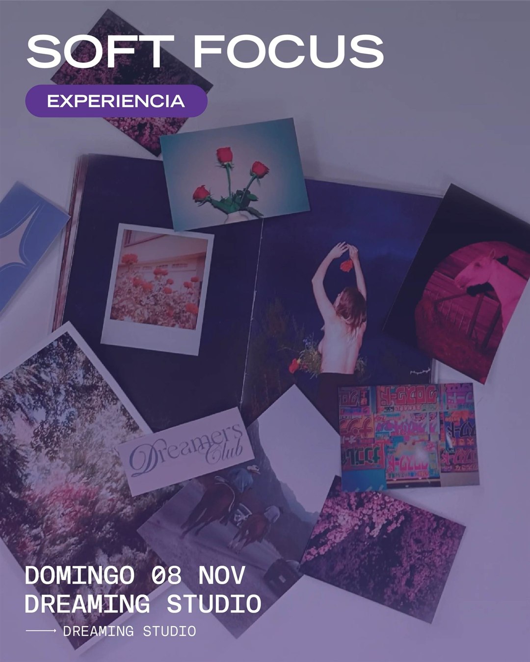 Soft Focus — cartel o imagen del evento